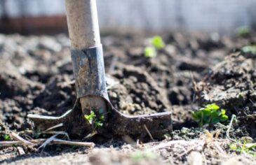 Digging time capsule