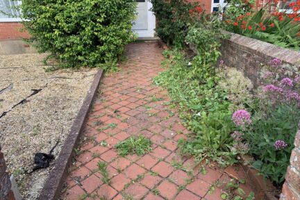 Photograph of the weed-strewn path at Red Balloon Reading